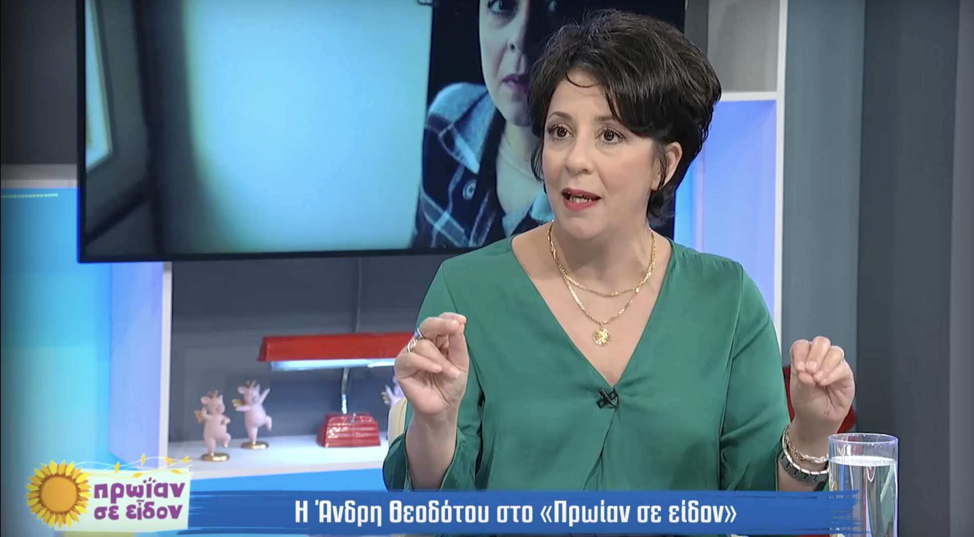 Άνδρη Θεοδότου: «Ήταν ένας από τους αγνοούμενους και γύρισε. Έπιασαν όπλο στα χέρια τους…»